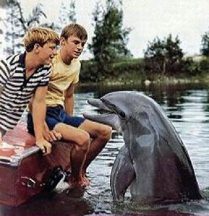 Flipper Flipper