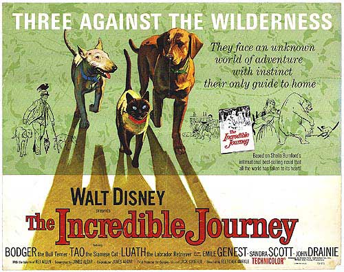 The Incredible Journey