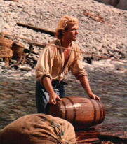 Les aventures de Robinson Crusoë