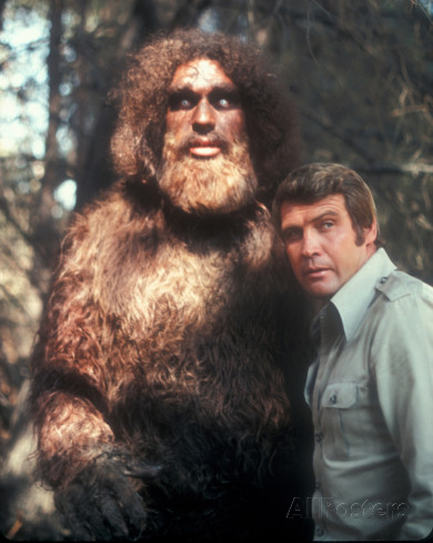 The Six Million Dollar Man The Six Million Dollar Man