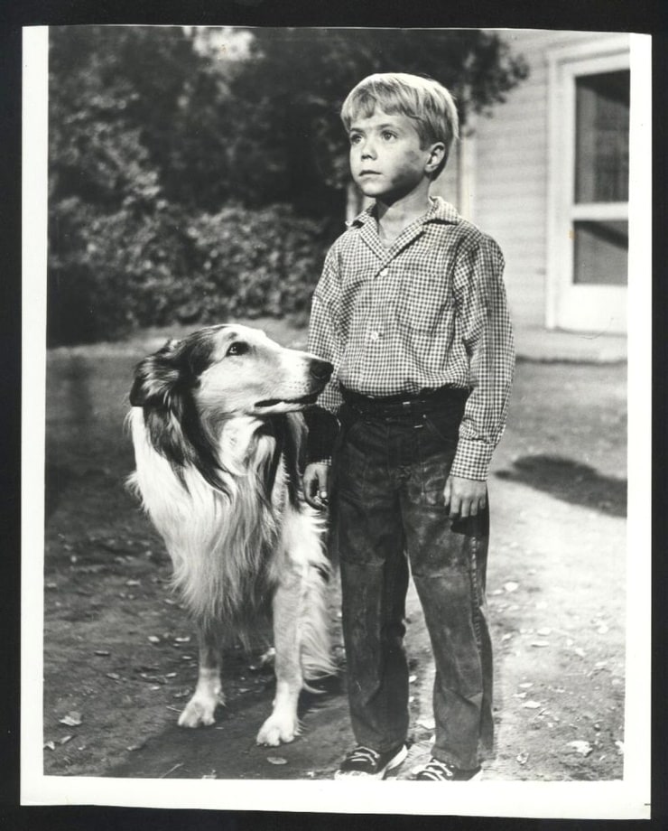 Lassie