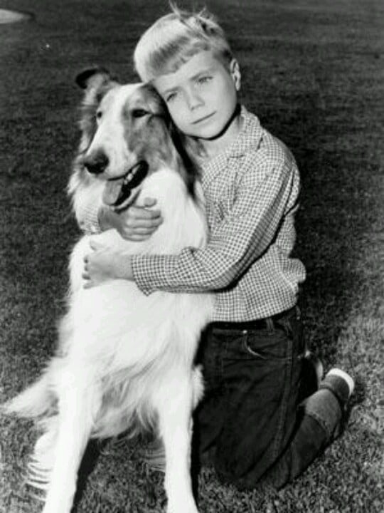 Lassie