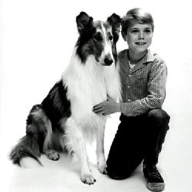 Lassie