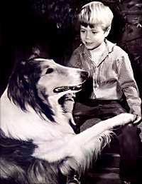 Lassie