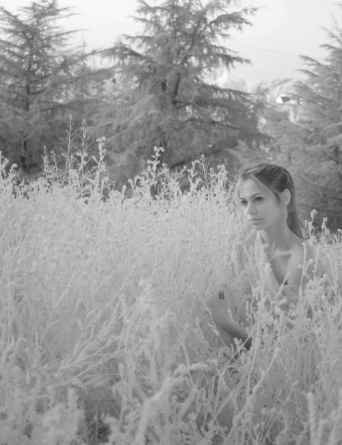Analeigh Tipton Analeigh Tipton