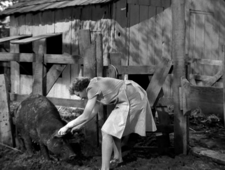 The Egg and I (1947) The Egg and I (1947)