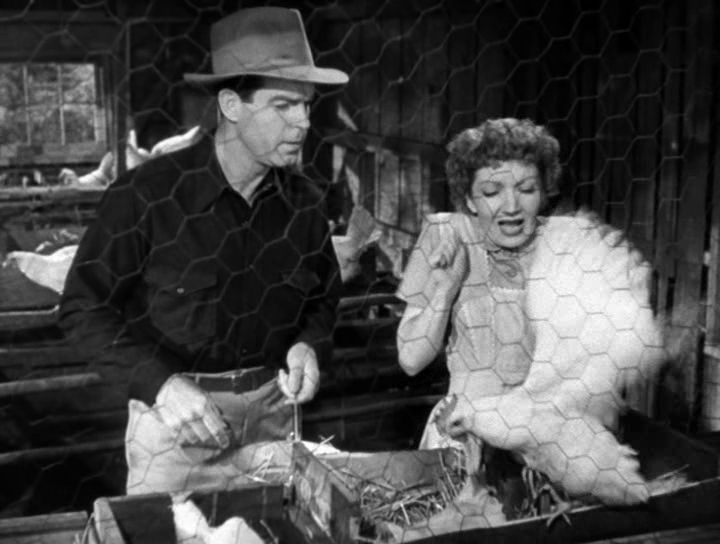 The Egg and I (1947) The Egg and I (1947)