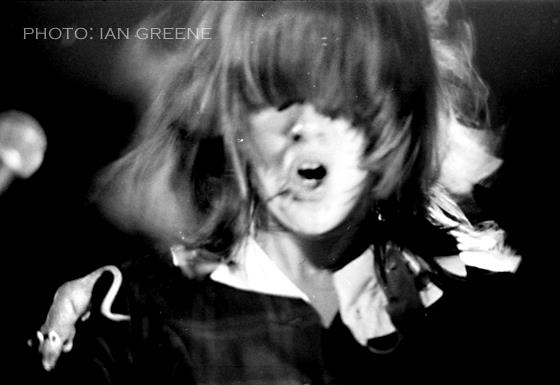 Chrissy Amphlett