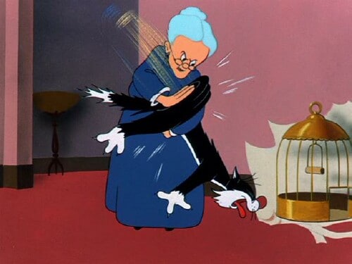 The Sylvester & Tweety Show The Sylvester & Tweety Show