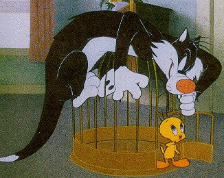 The Sylvester & Tweety Show The Sylvester & Tweety Show
