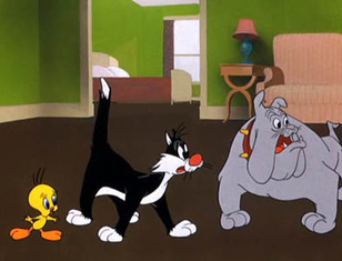 The Sylvester & Tweety Show The Sylvester & Tweety Show
