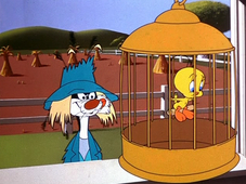 The Sylvester & Tweety Show