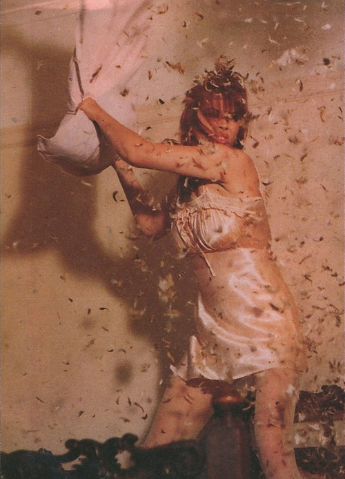 Chrissy Amphlett