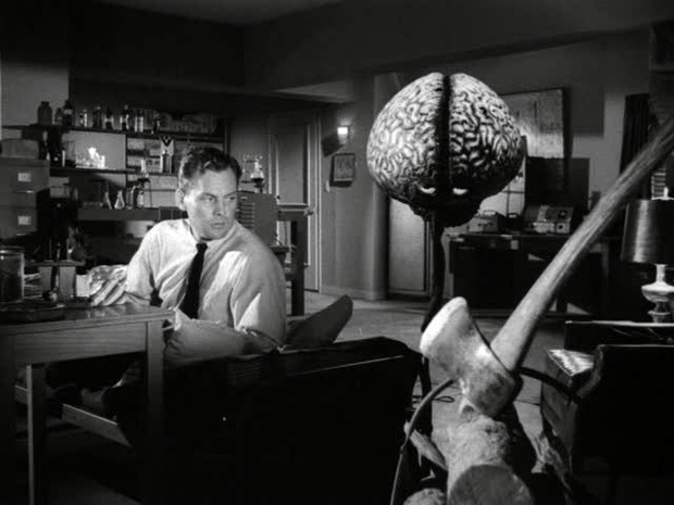 The Brain from Planet Arous The Brain from Planet Arous