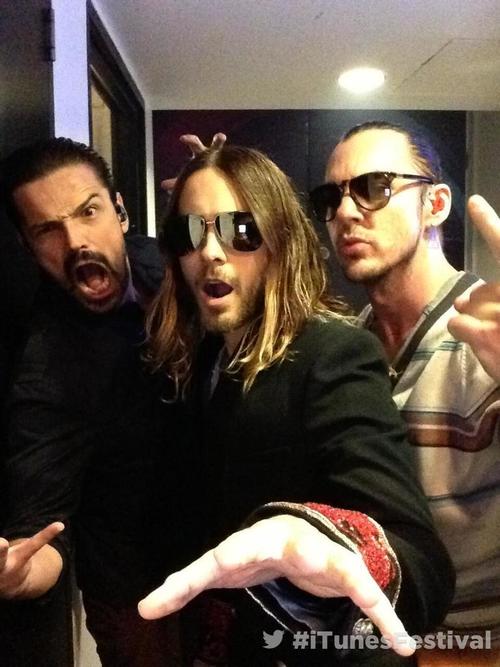 Shannon Leto