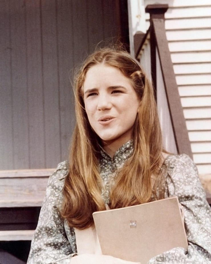 Melissa Gilbert Picture