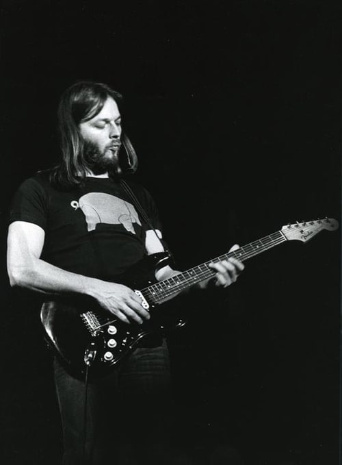 David Gilmour