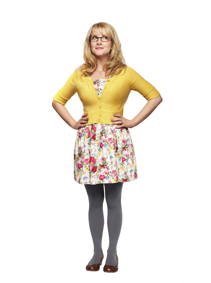 The Big Bang Theory The Big Bang Theory