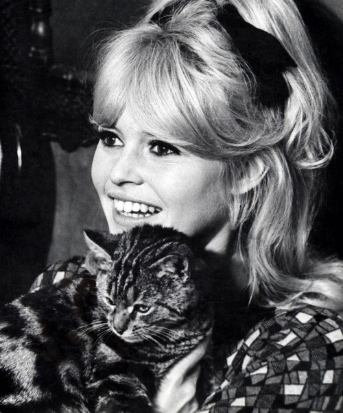 Brigitte Bardot Brigitte Bardot