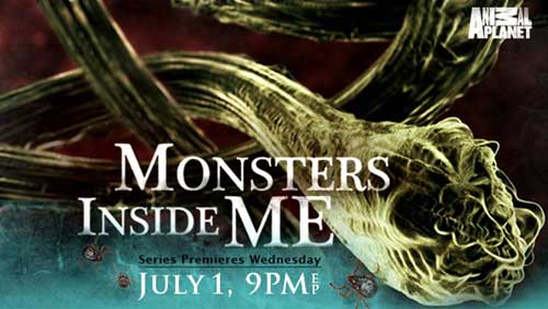 Monsters Inside Me