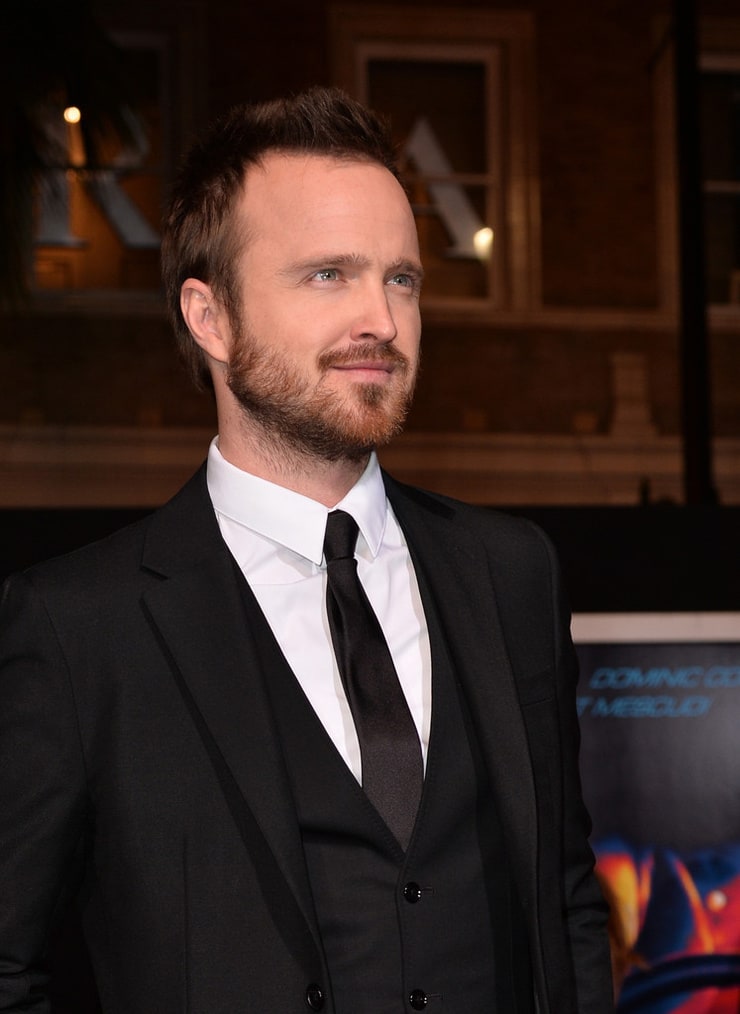 Picture of Aaron Paul