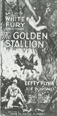 The Golden Stallion