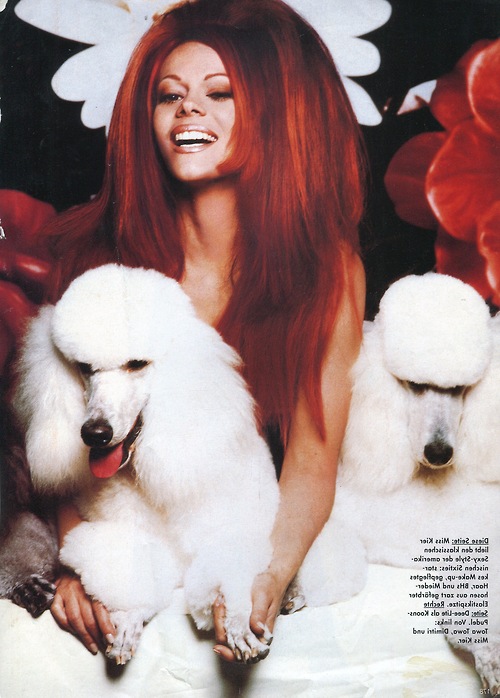 Lady Miss Kier