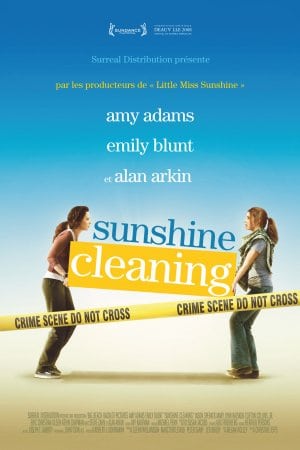 Sunshine Cleaning