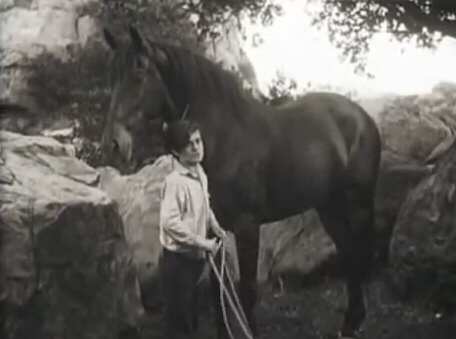 Rex the Wonder Horse Rex the Wonder Horse