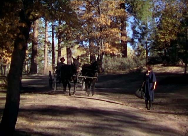 The Trail of the Lonesome Pine                                  (1936)