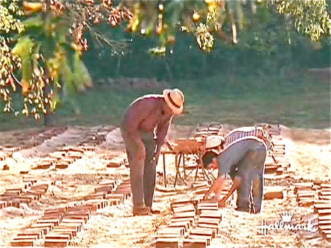 The Last Brickmaker in America
