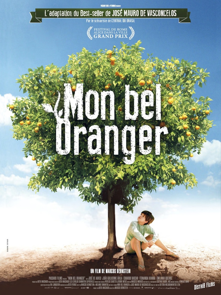 My Sweet Orange Tree