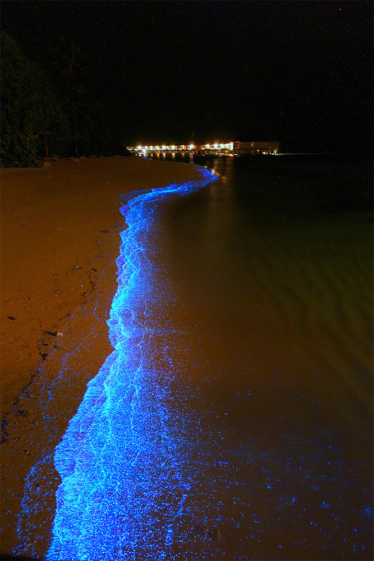 Maldives Maldives