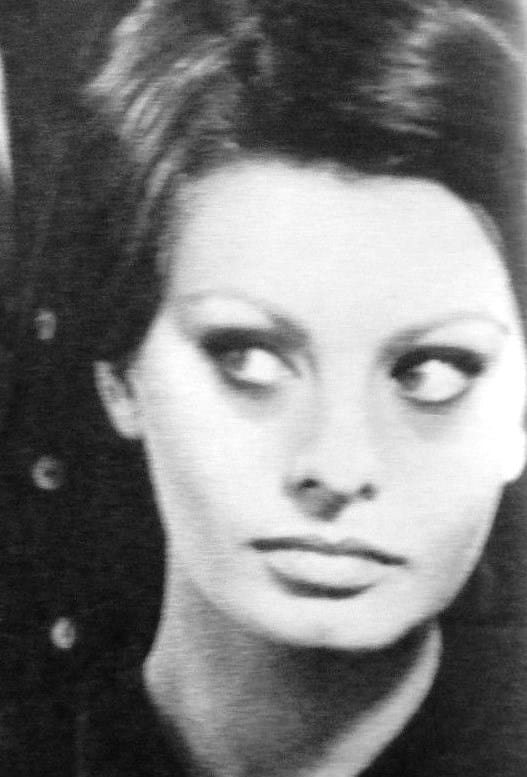 Picture of Sophia Loren