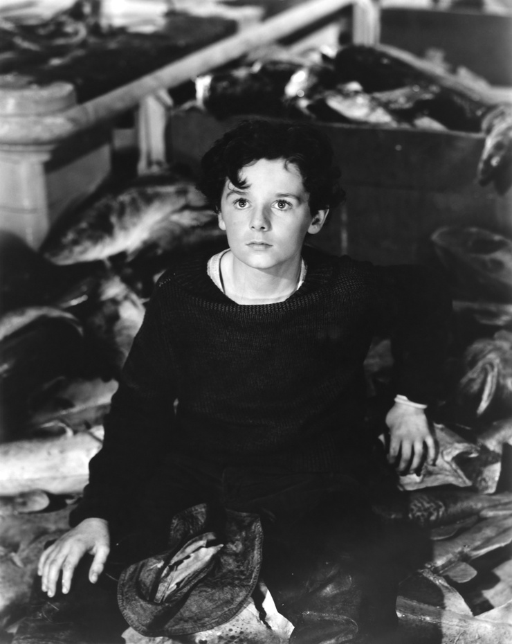 Freddie Bartholomew