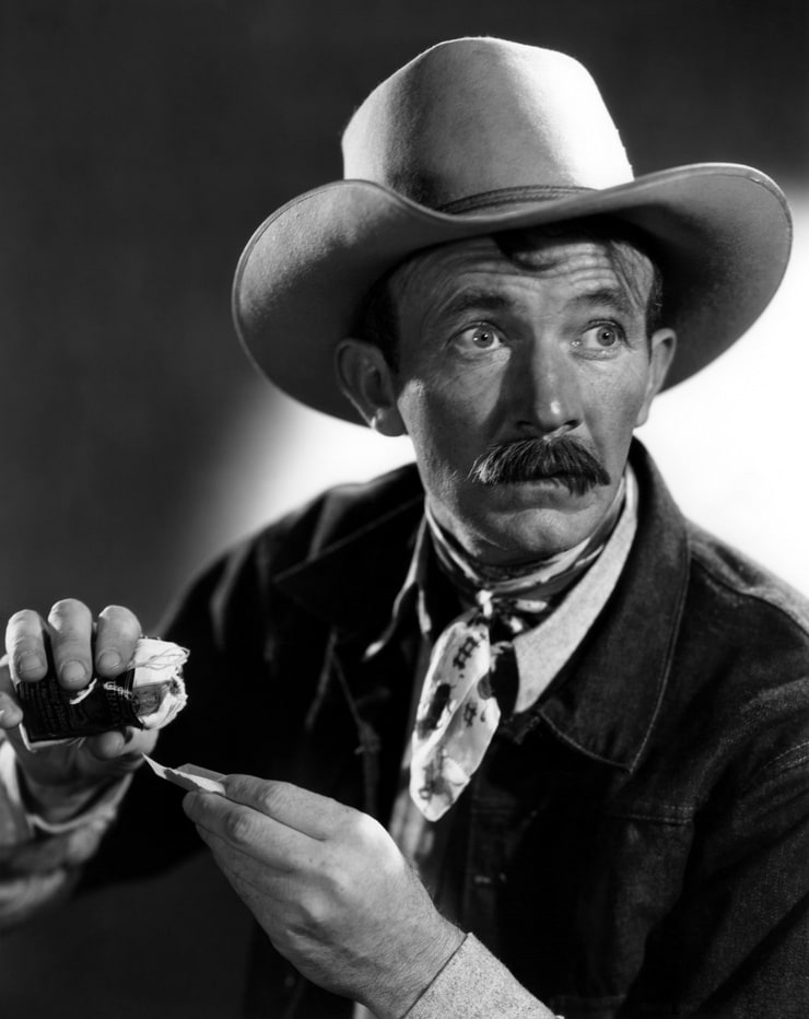 Picture of Walter Brennan