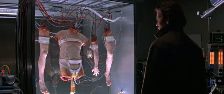 Body Parts Body Parts