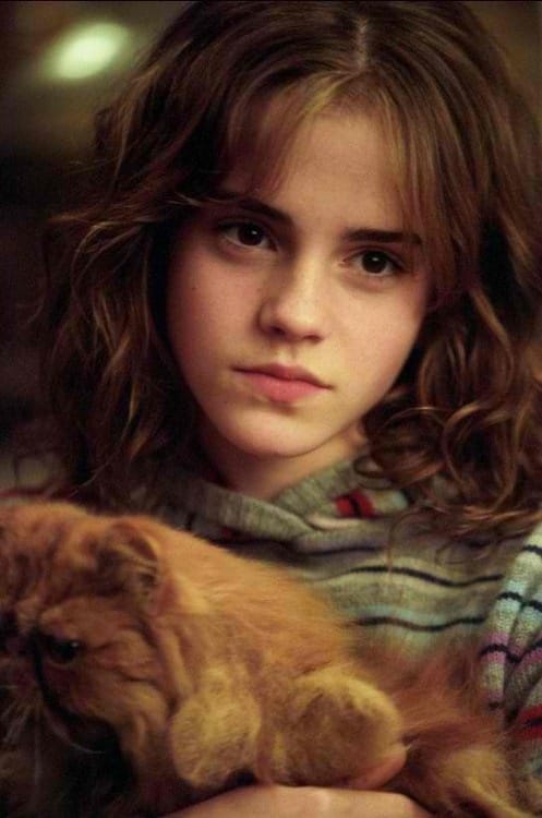 Hermione Granger