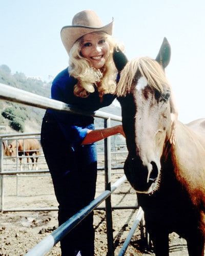 Audrey Landers
