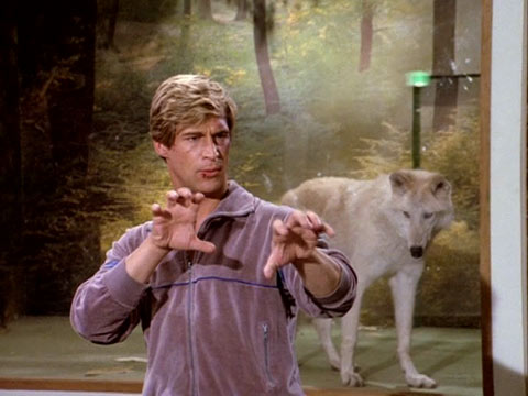 Manimal
