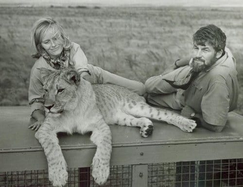 Virginia McKenna