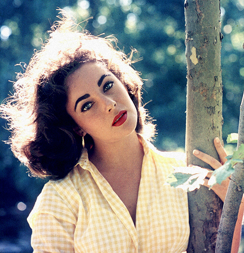 Elizabeth Taylor Elizabeth Taylor