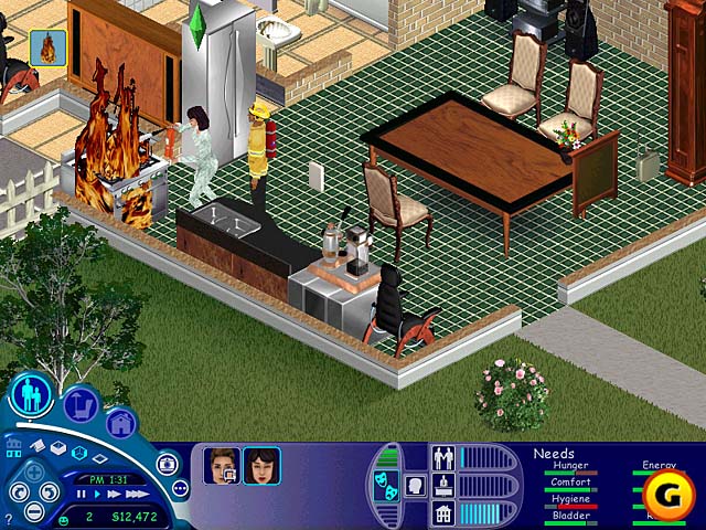 The Sims