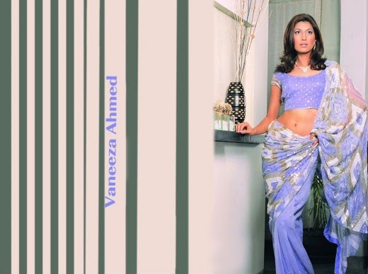 Vaneeza Ahmed