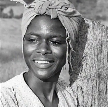 Sounder (1972)