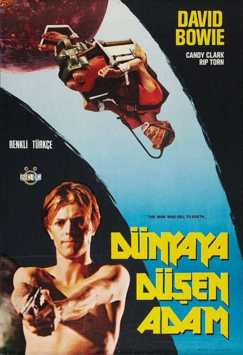 The Man Who Fell to Earth