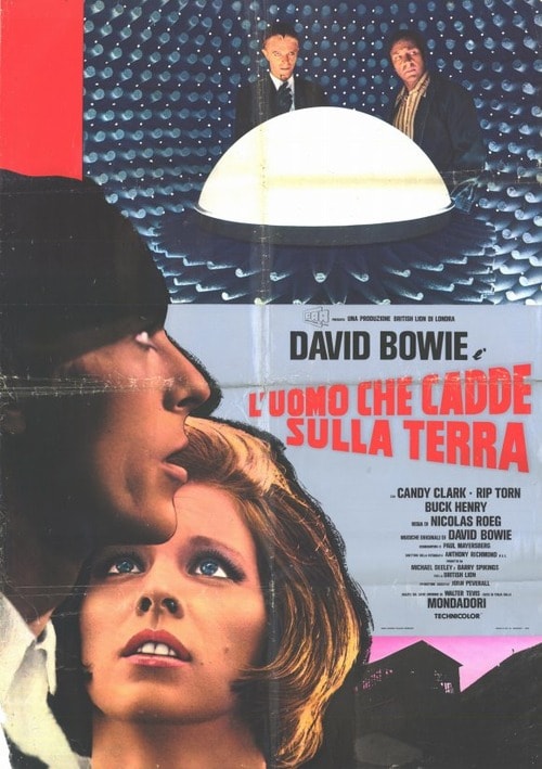 The Man Who Fell to Earth
