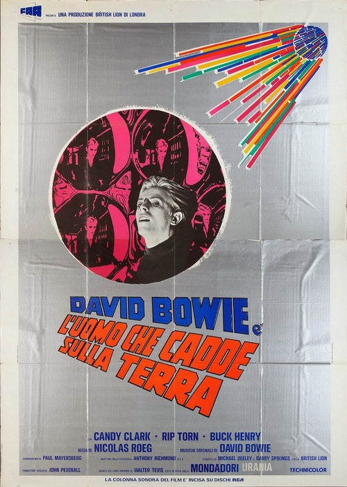 The Man Who Fell to Earth