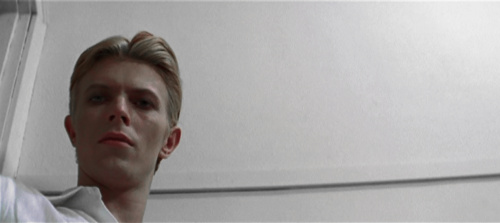 The Man Who Fell to Earth
