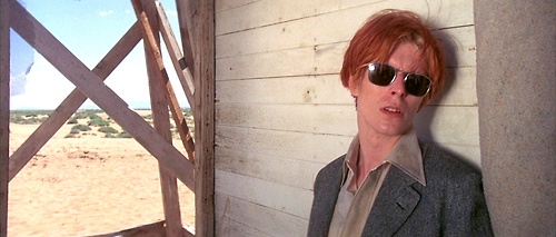 The Man Who Fell to Earth